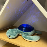 Pabobo Green Turtle Ocean Themed Projector USB