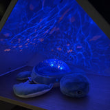Pabobo Green Turtle Ocean Themed Projector USB