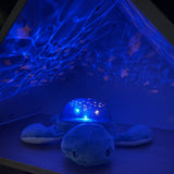 Pabobo Green Turtle Ocean Themed Projector USB