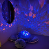 Pabobo Green Turtle Ocean Themed Projector USB