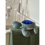 Pabobo Green Turtle Ocean Themed Projector USB