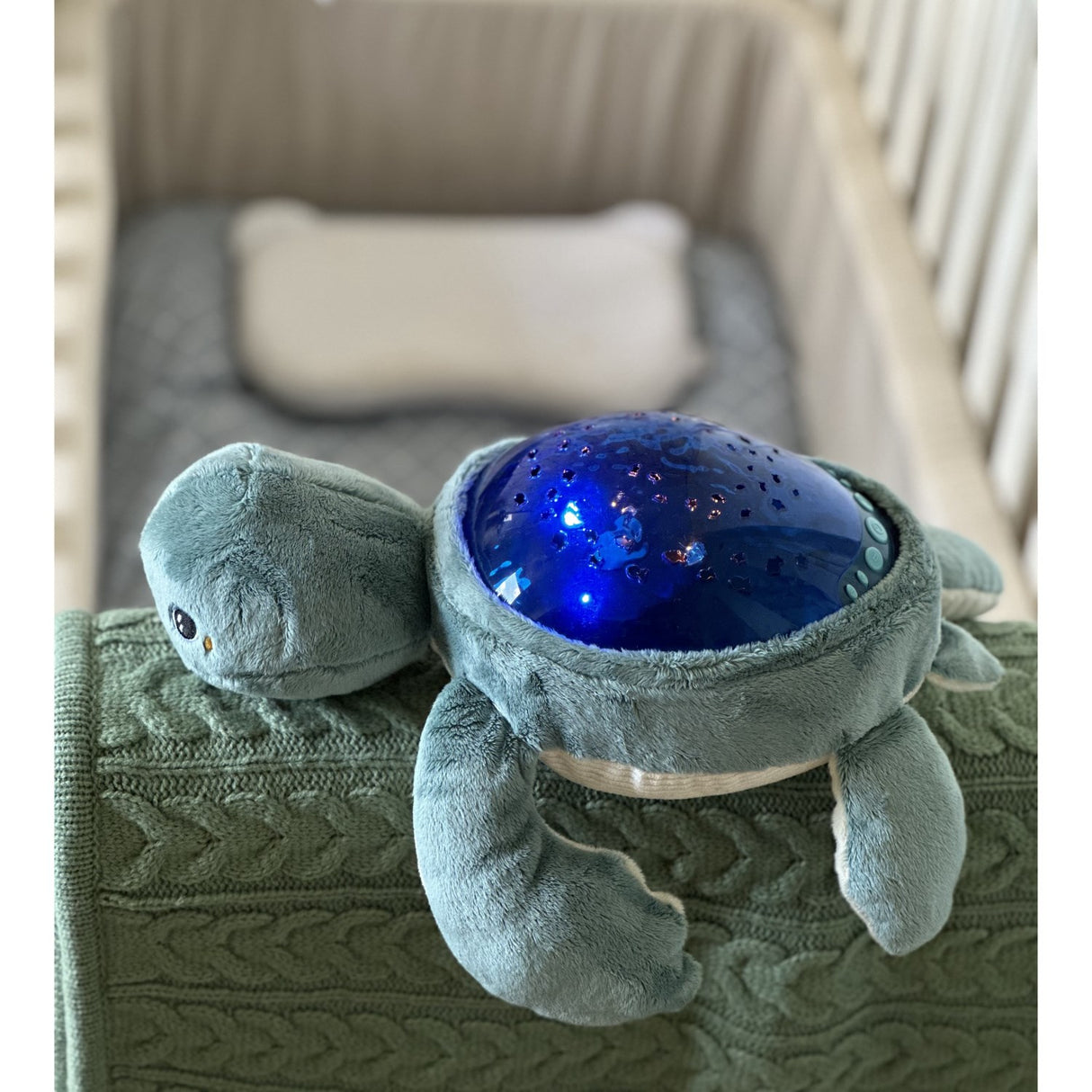 Pabobo Green Turtle Ocean Themed Projector USB