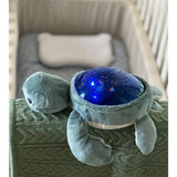 Pabobo Green Turtle Ocean Themed Projector USB