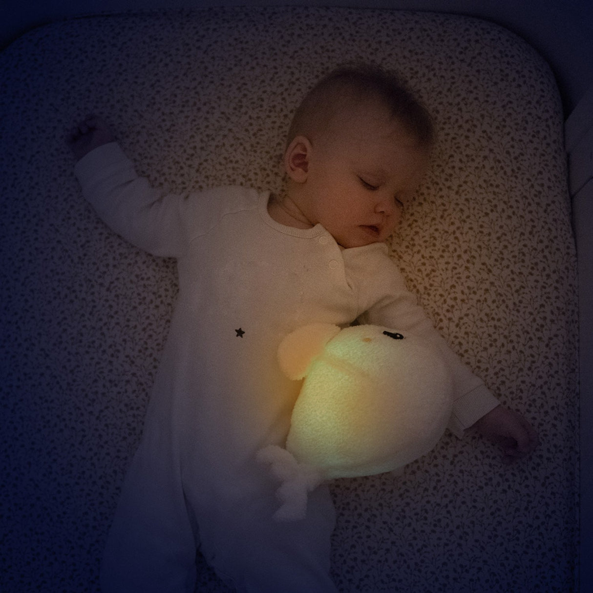 Pabobo White Whale Musical Night Light