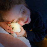 Pabobo Grey Shakies Seal Night Light