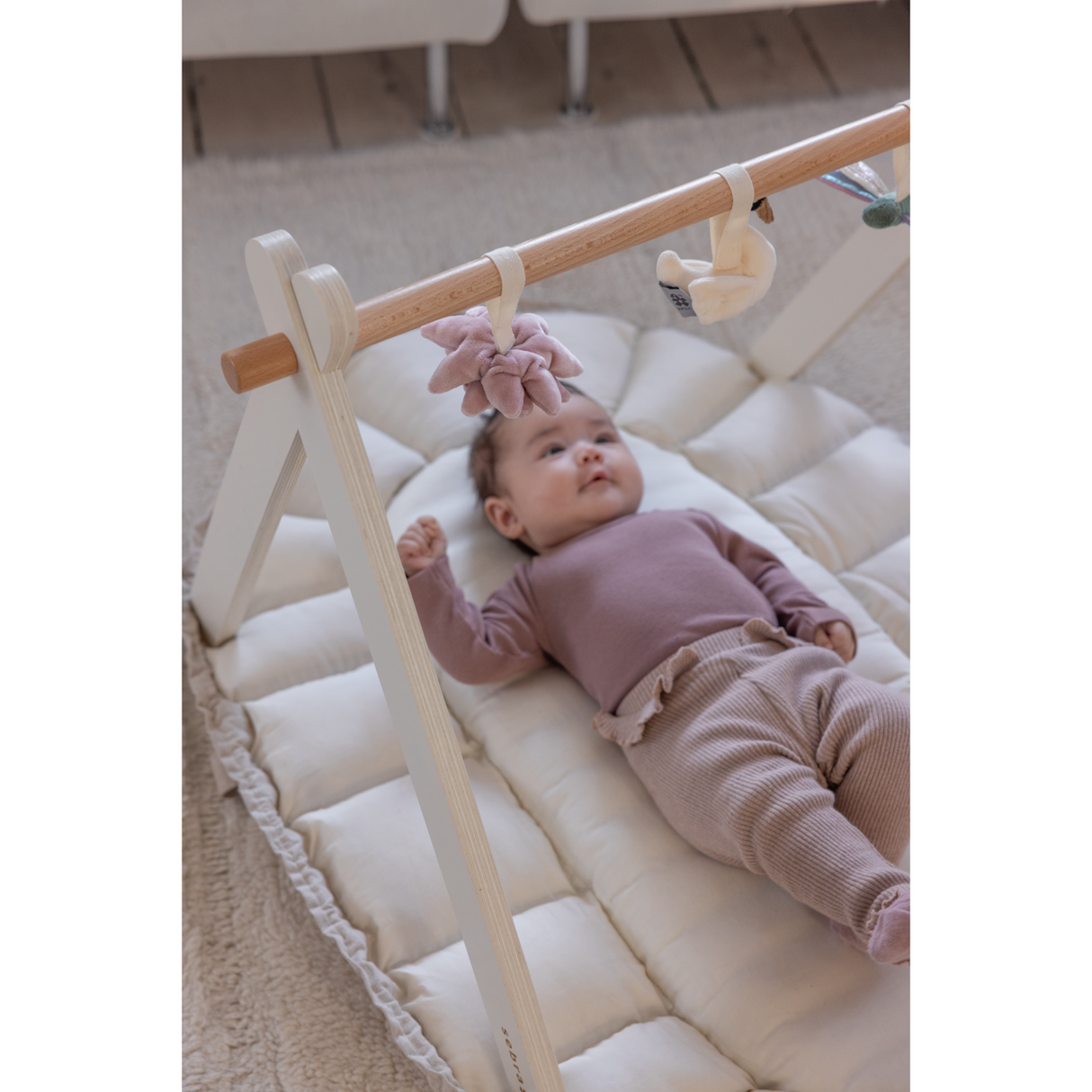 Sebra Baby Gym Wood