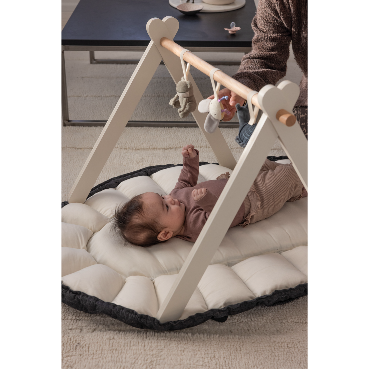 Sebra Baby Gym Wood