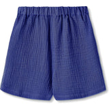 Fliink Mazerine Blue Hello Shorts 4