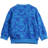 adidas Originals Blue Bird / Semi Lucid Blue Sweat Set 5