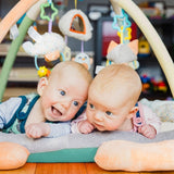 Playgro Activity Gym Penguin 2