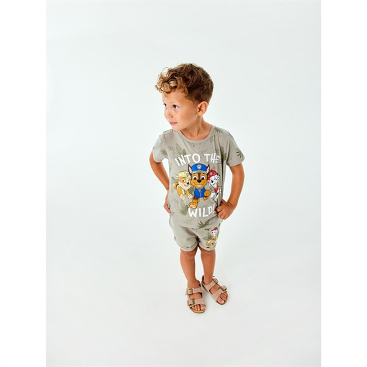 Name it Dried Sage Mont Paw Patrol T-Shirt 2