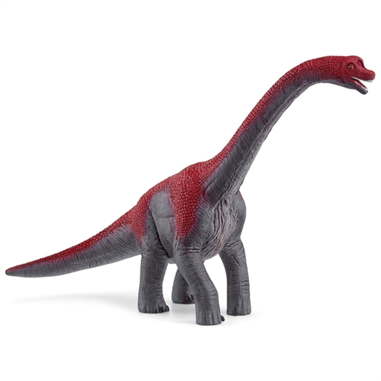 Schleich Dinosaurs Brachiosaurus