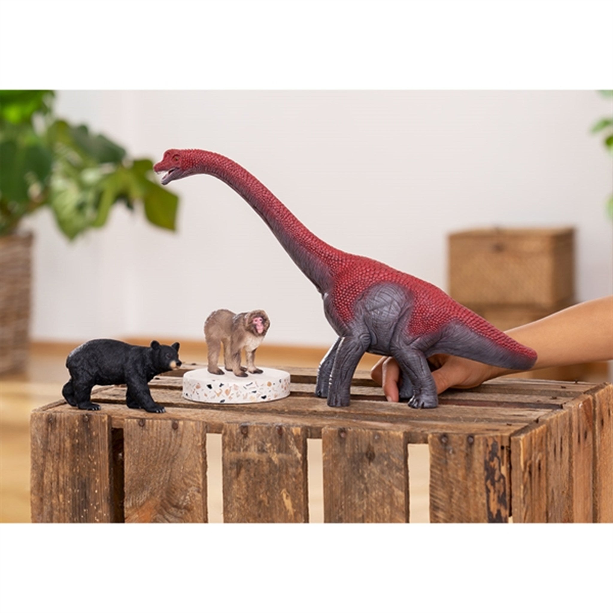 Schleich Dinosaurs Brachiosaurus 2