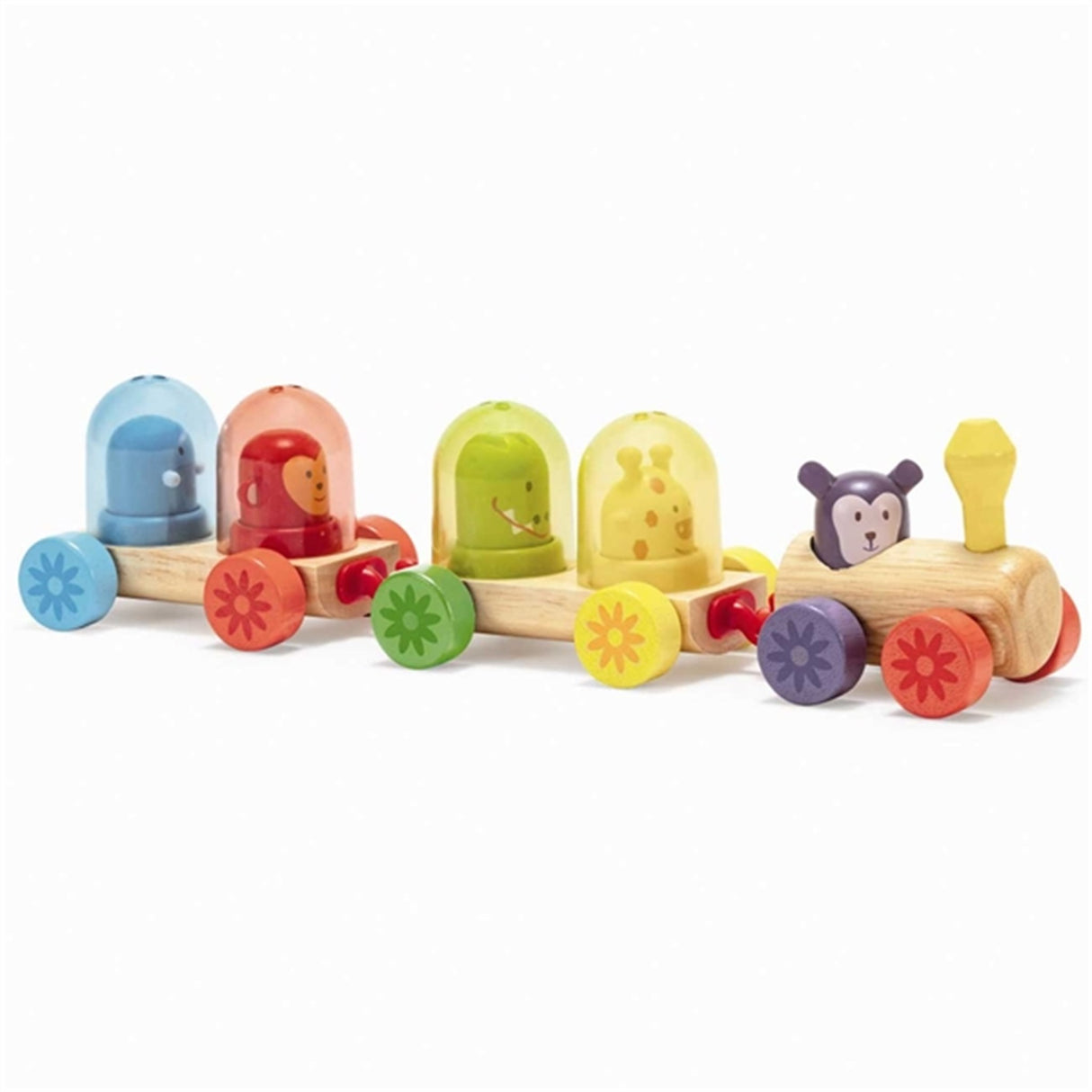 Djeco Rainbow Wooden Train