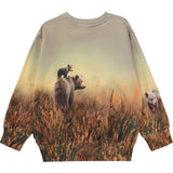 Molo Bear Life Mattis Sweatshirt 4