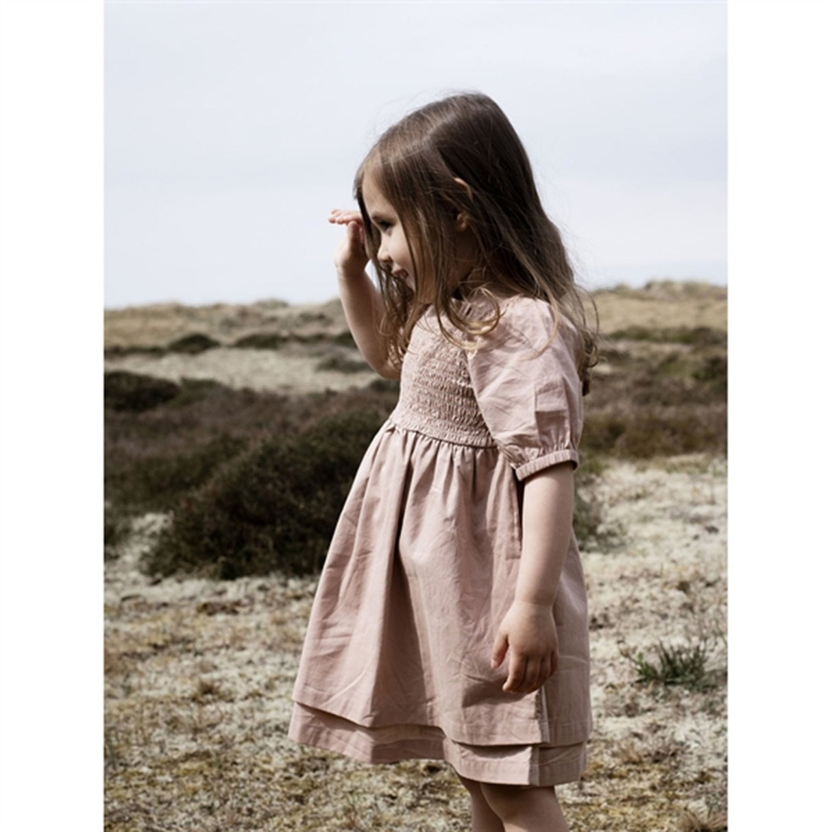 Serendipity Almond Smock Dress 2