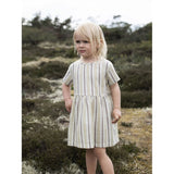 Serendipity Misty Stripes Loose Dress 3