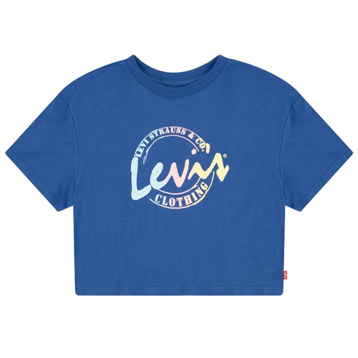 Levi's Meet and Greet Script T-shirt Blue