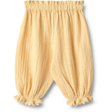 Wheat Pale Apricot Pants Lace Petrine 2