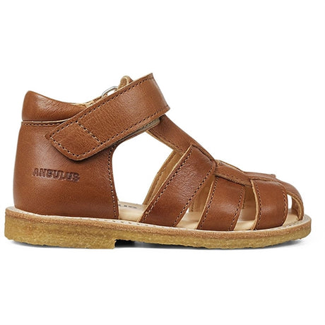 Angulus Starter Sandal W. Velcro Cognac