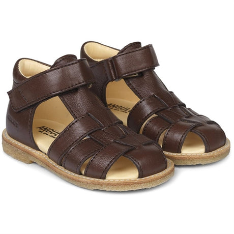 Angulus Begynder Sandal W. Velcro Dark Brown