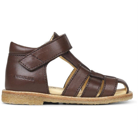 Angulus Begynder Sandal W. Velcro Dark Brown 2