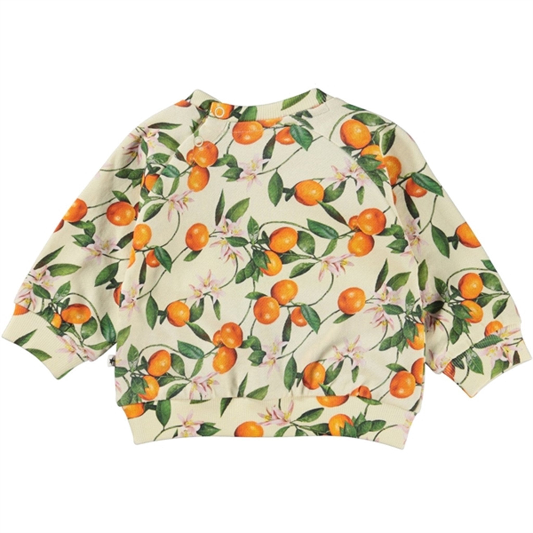 Molo Mini Mandarins Disc Sweatshirt 2