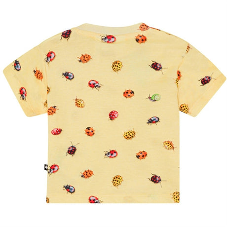 Molo Coccinella Enzo T-Shirt 2