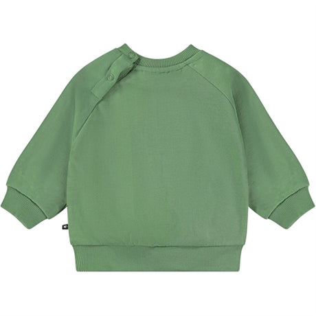 Molo Branch Living Disc Sweatshirt 2