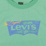 Levi's Distressed Batwing T-shirt Green