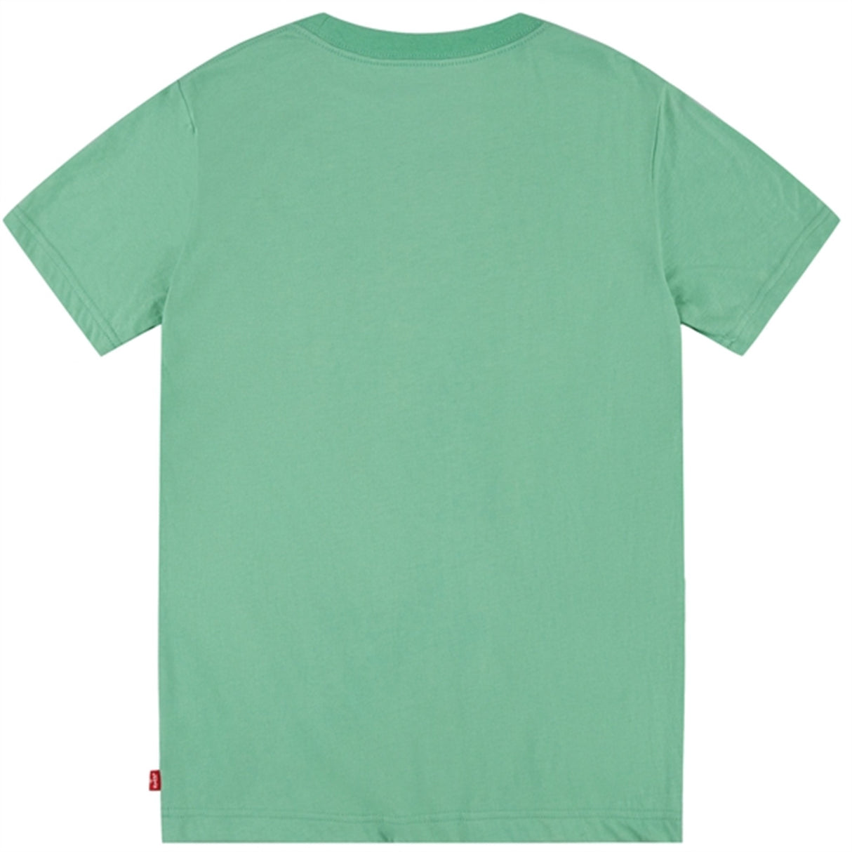 Levi's Distressed Batwing T-shirt Green