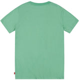 Levi's Distressed Batwing T-shirt Green