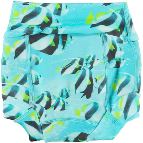 Molo Fishing Shoal Nick Trunks 2