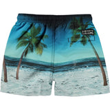 Molo Sunset Surfer Niko Boardies 2