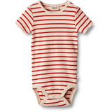 Wheat Red Stripe Body Edvald