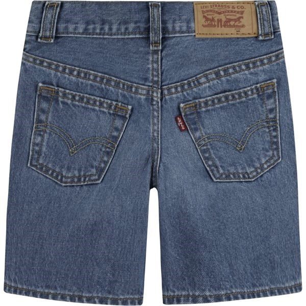 Levi's Skate Shorts Basil Sky Without Destruction 5