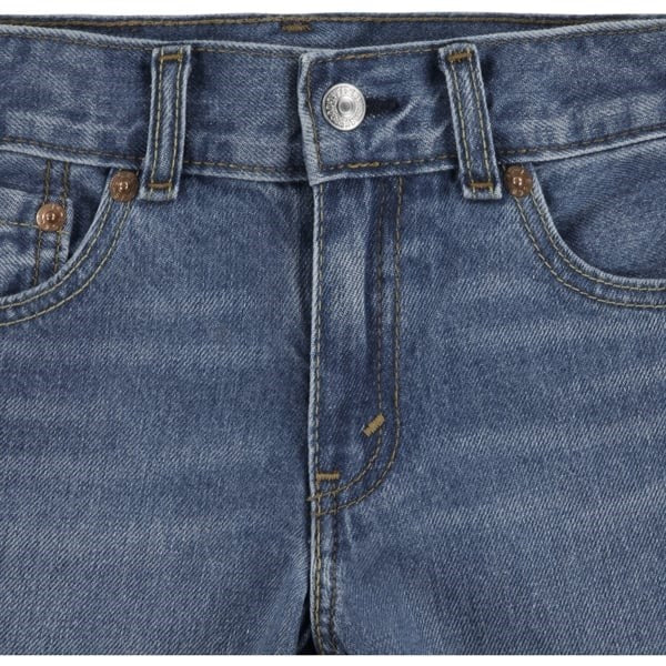 Levi's Skate Shorts Basil Sky Without Destruction 3