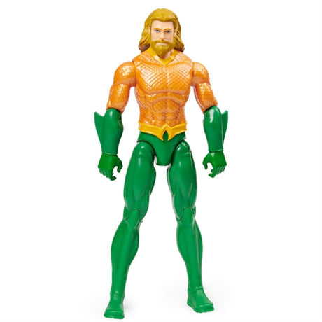 Batman & DC Universe Aquaman