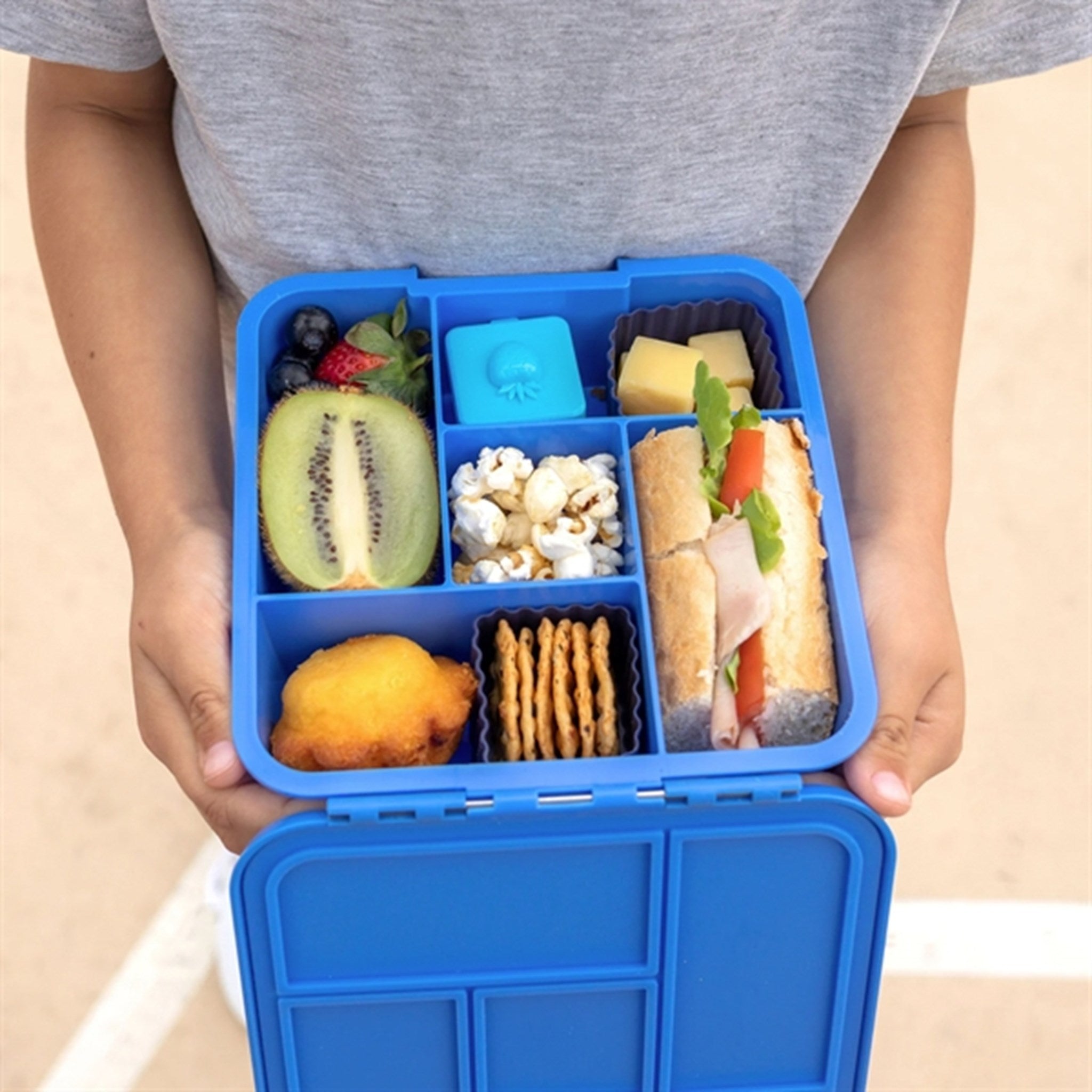 Little Lunch Box Co Bento 5 Lunch Box Blueberry 2
