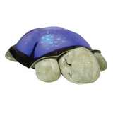 Cloud B Twilight Turtle Night Light Mocha 5