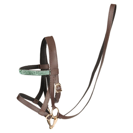 Cheval Roi Bridle Mint/Darkbrown/Light Gold