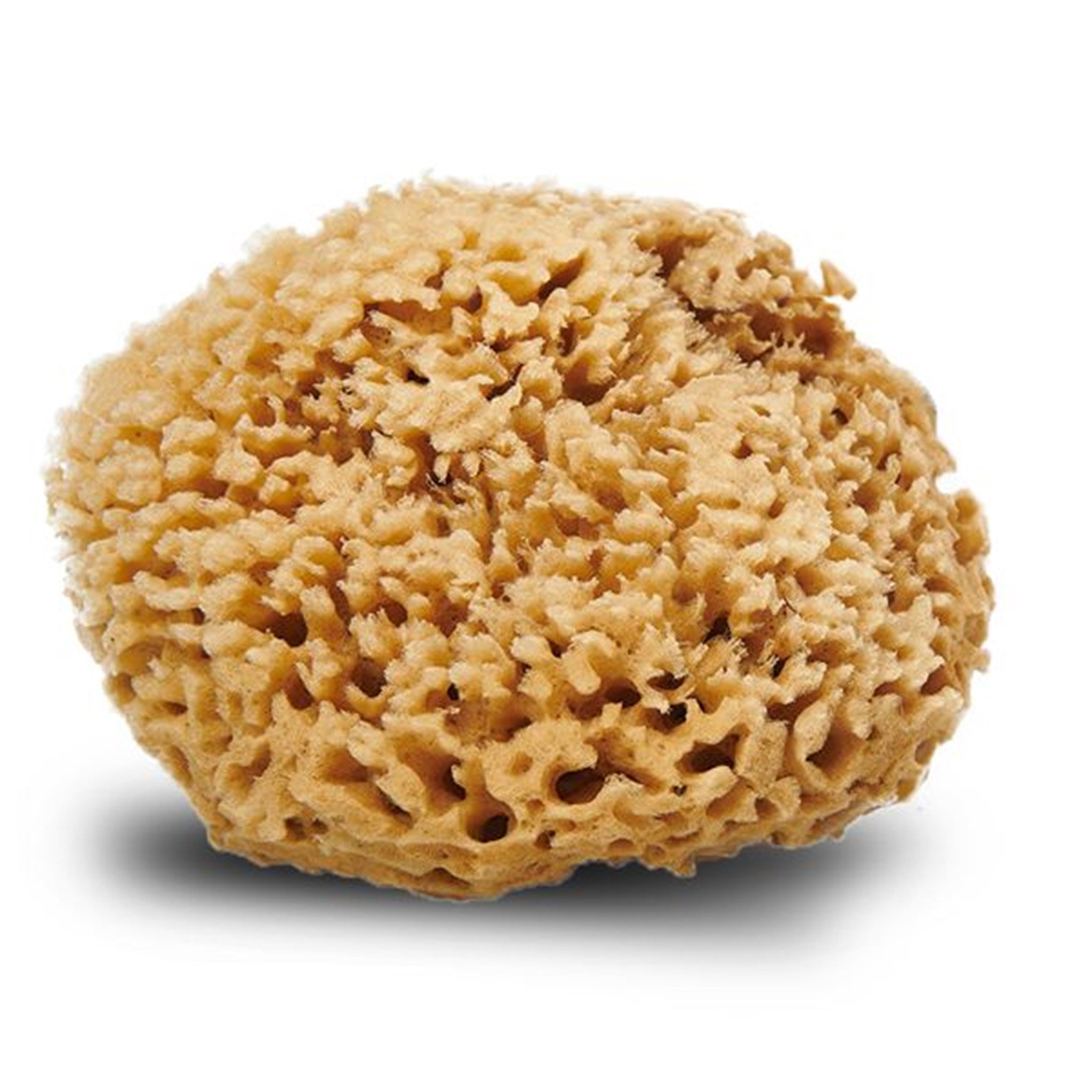 Cocoon Organic Laundry Honeycomp Wool Sponge 13-14 cm