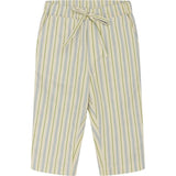 Flöss Bobby Pants Blue/Green Stripe