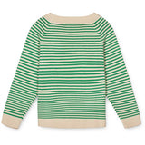 Fliink Jelly Bean Green Stripe Fave Stripe Knit 2