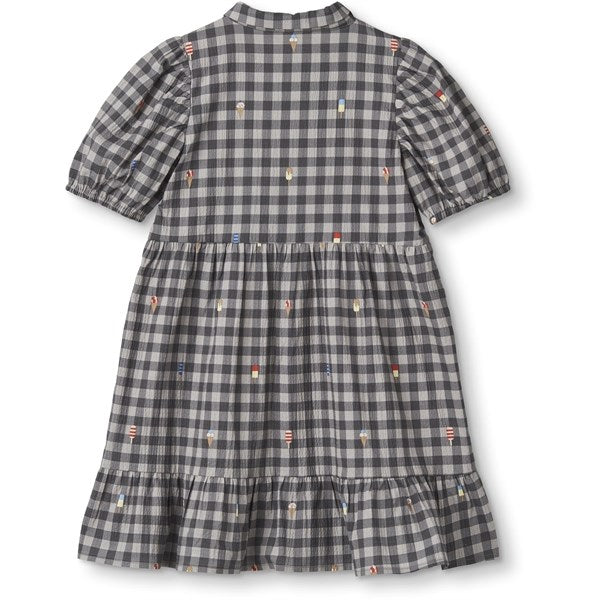 Fliink Magnet Check Aop Polar Dress 5