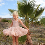 Dolly by Le Petit Tom Frilly Skirt Ballet Pink 2