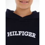 Tommy Hilfiger Hilfiger Arched Hoodie Desert Sky 3