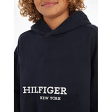 Tommy Hilfiger Hilfiger Logo Hoodie Desert Sky 3