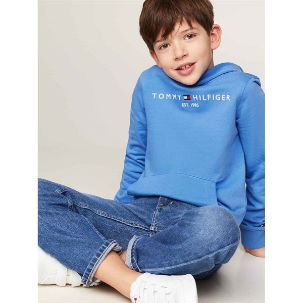 Tommy Hilfiger Essential Hoodie Blue Spell 2