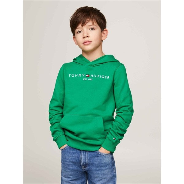 Tommy Hilfiger Essential Hoodie Olympic Green 4